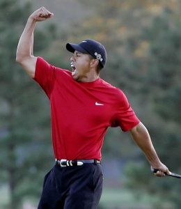 Tiger does it again!
